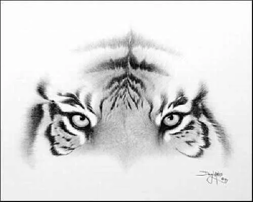Dibujos a lapiz de animales - Dibujos a lapiz Dibujos a lapiz de animales - Dibujos a lapiz