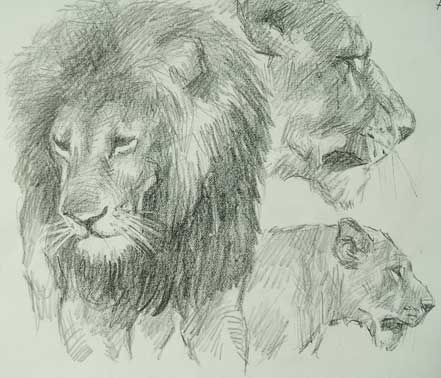 EL RINCON DEL TARADETE: Antonio Bernal Romero: Animales