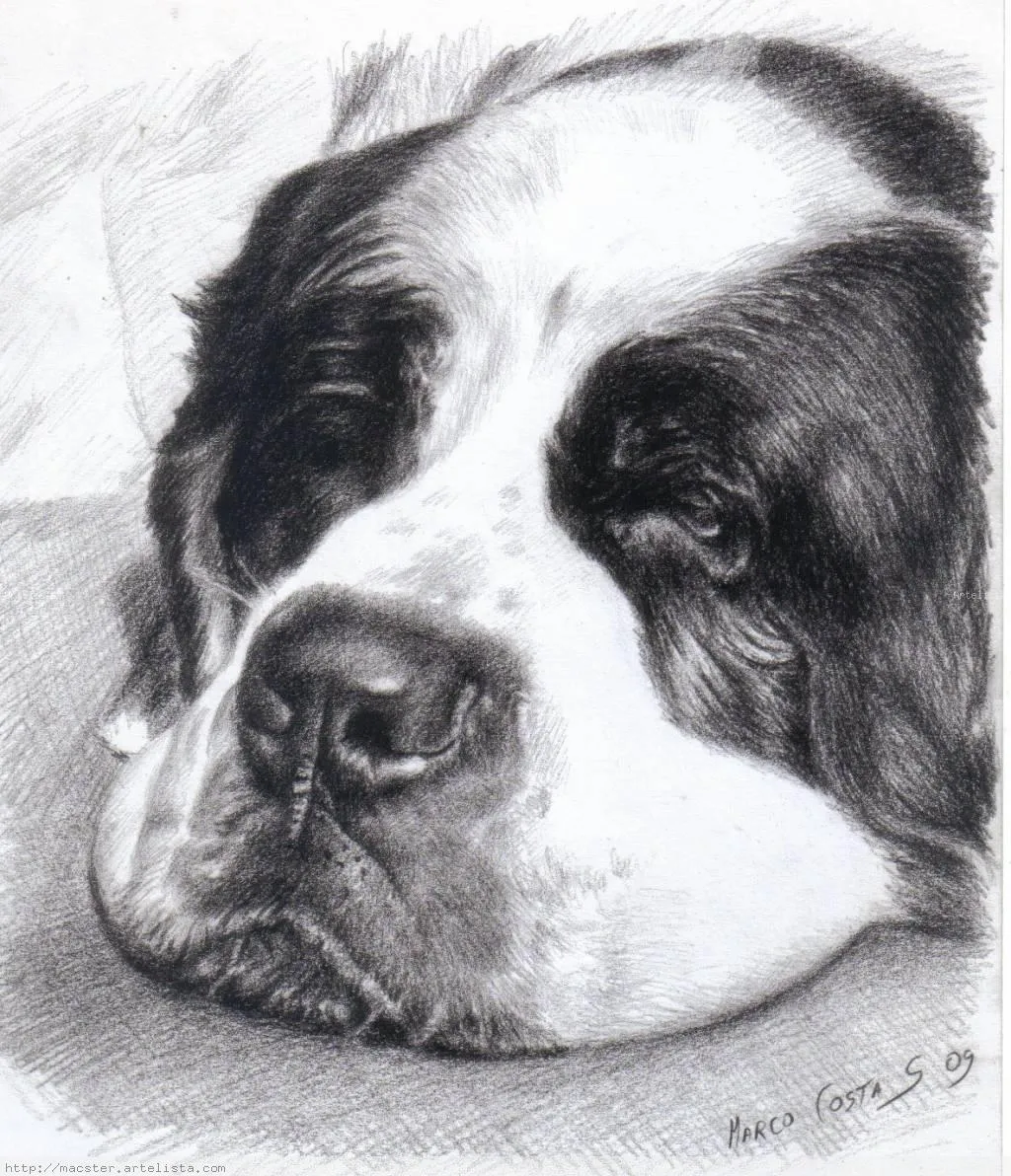 Dibujos a lapiz de animales tiernos faciles - Imagui Dibujos a lapiz de animales tiernos faciles - Imagui