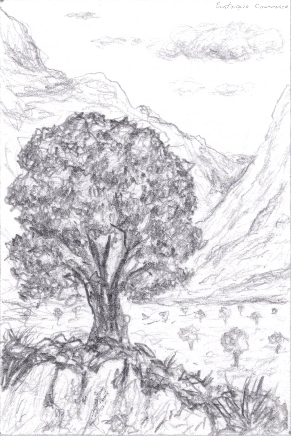 Paisajes de arboles a lapiz - Imagui