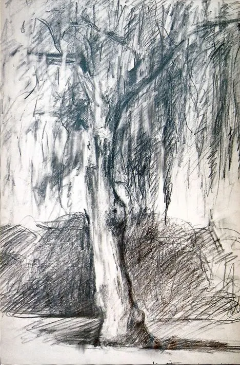 Dibujar arboles a lapiz - Imagui
