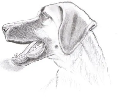 Algunos dibujos míos a lápiz y birome. - Taringa! Algunos dibujos míos a lápiz y birome. - Taringa!