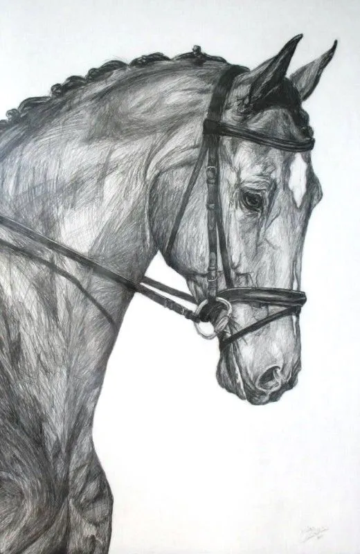 Caballos a lapiz faciles - Imagui