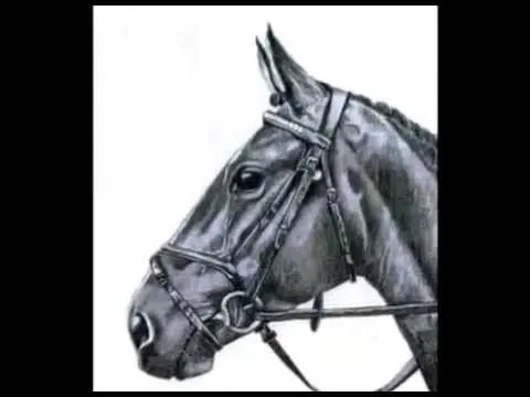 dibujos a lapiz de caballos -Increible video tienes que verlo ... dibujos a lapiz de caballos -Increible video tienes que verlo ...