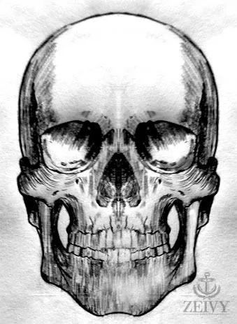 Dibujos a lapiz de calaveras graciosas - Imagui