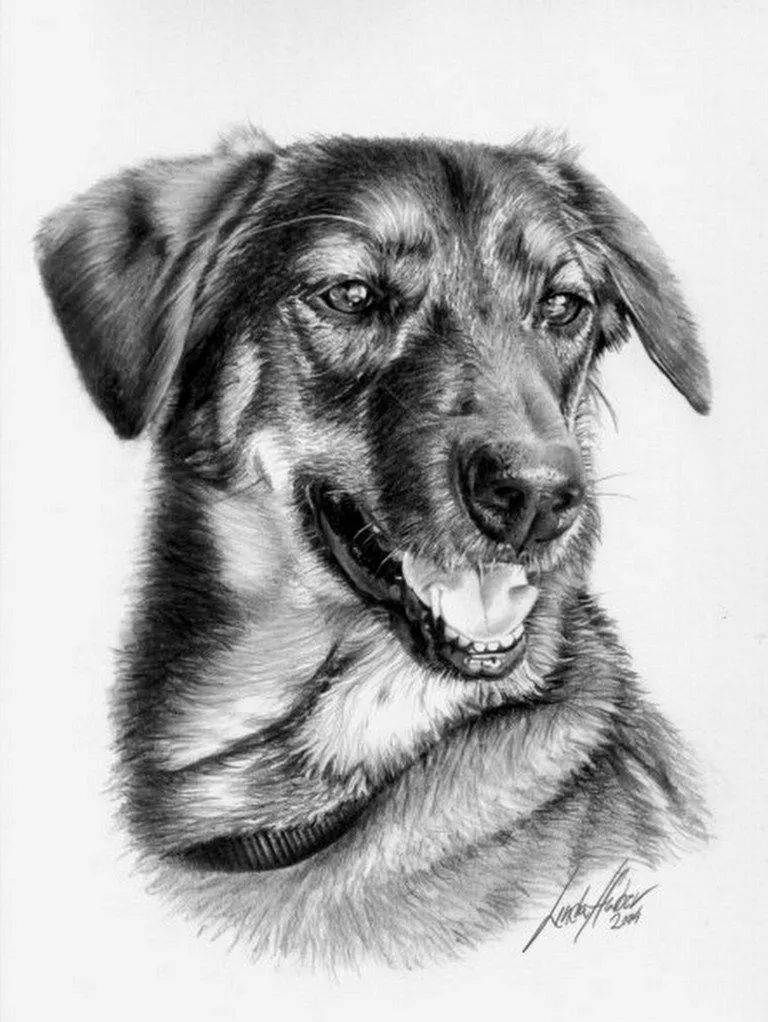 Dibujos Hecho a Lápiz | Imágenes de Pinturas Dibujos Hecho a Lápiz | Imágenes de Pinturas