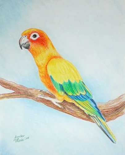 dibujos lápiz de color animales - Buscar con Google | dibujos ...