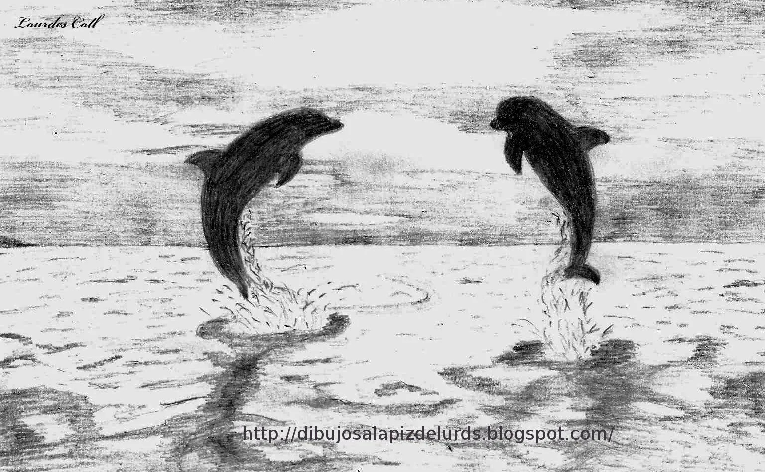 Mis dibujos a lápiz: Delfines libres