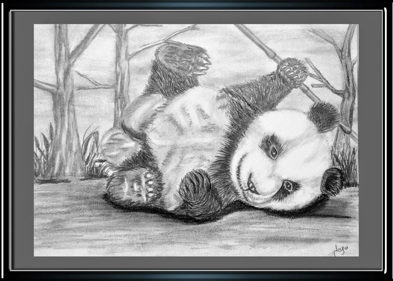 Dibujos a lápiz: Oso Panda
