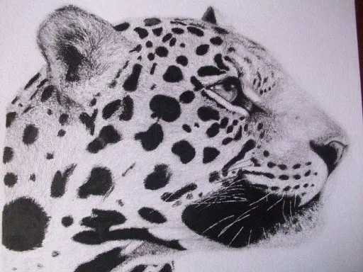 Todos los dibujos a lápiz que hice!!! | Aprender manualidades es ... Todos los dibujos a lápiz que hice!!! | Aprender manualidades es ...