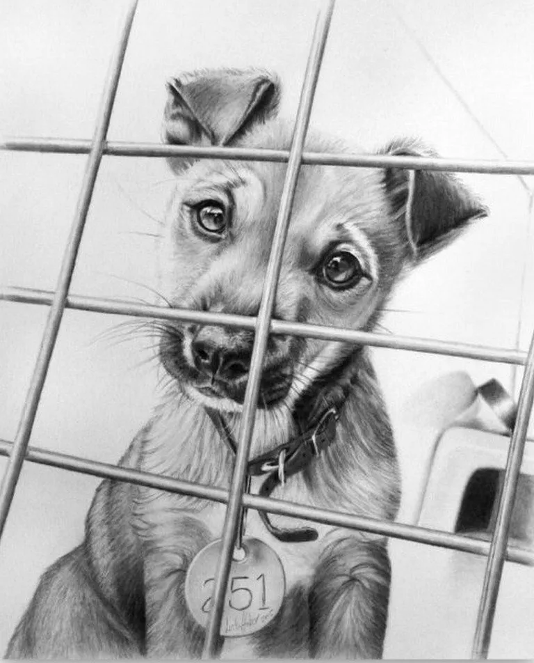 Dibujos Hecho a Lápiz | Imágenes de Pinturas Dibujos Hecho a Lápiz | Imágenes de Pinturas