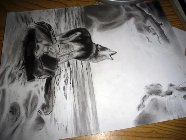 Dibujos a lapiz de lobos aullando - Imagui