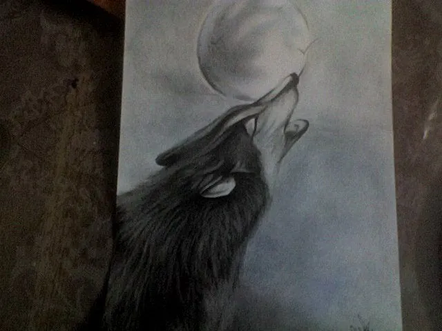 Dibujos de lobos aullando a la luna a lapiz - Imagui