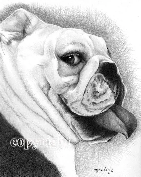 Dibujos a lapiz de perros bulldog - Imagui