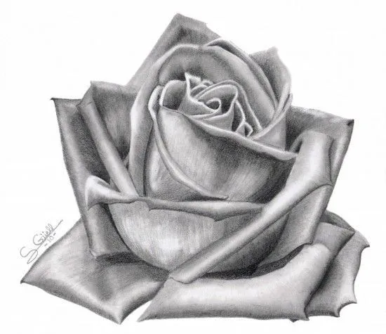 dibujos a lapiz de rosas faciles - Buscar con Google | flores ...