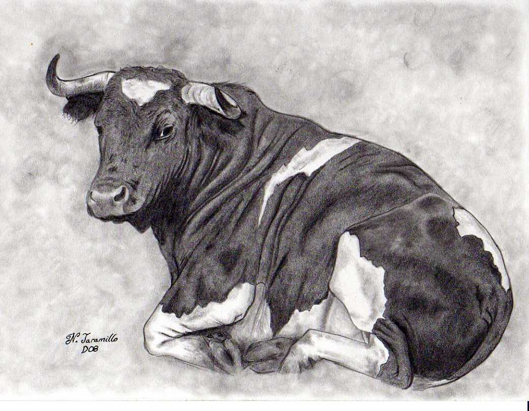 Dibujos a lápiz temas taurinos | El Blog de Nacho Dibujos a lápiz temas taurinos | El Blog de Nacho