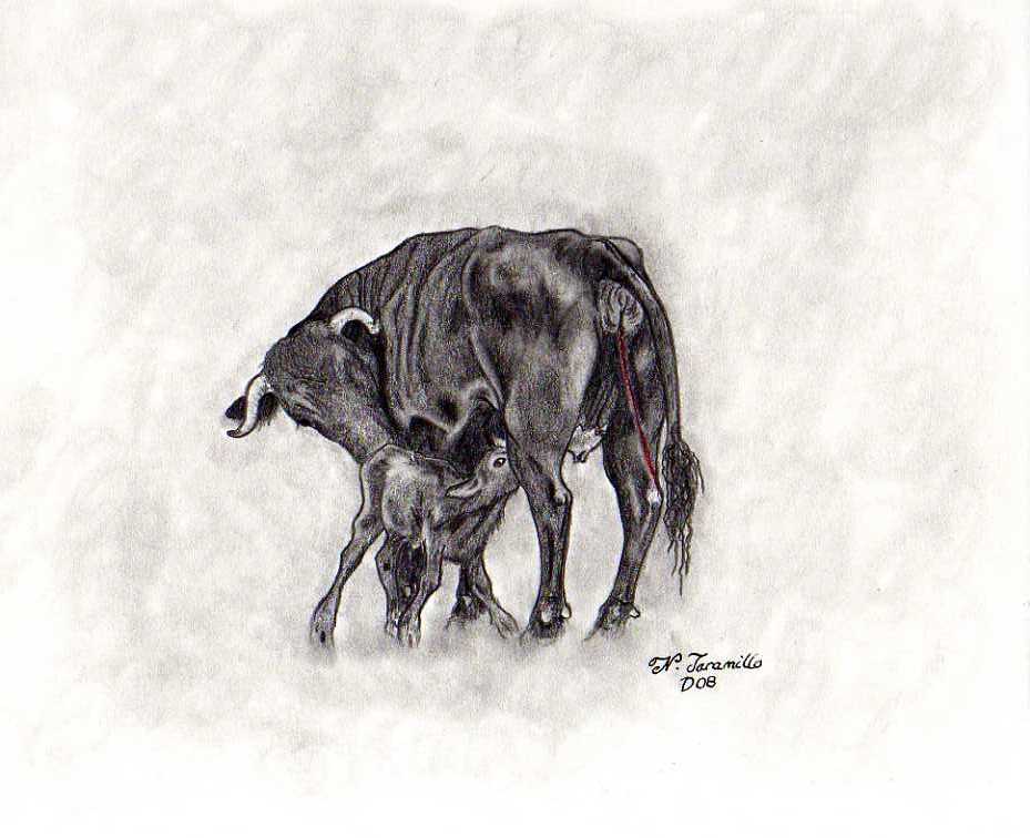 Dibujos a lápiz temas taurinos | El Blog de Nacho Dibujos a lápiz temas taurinos | El Blog de Nacho