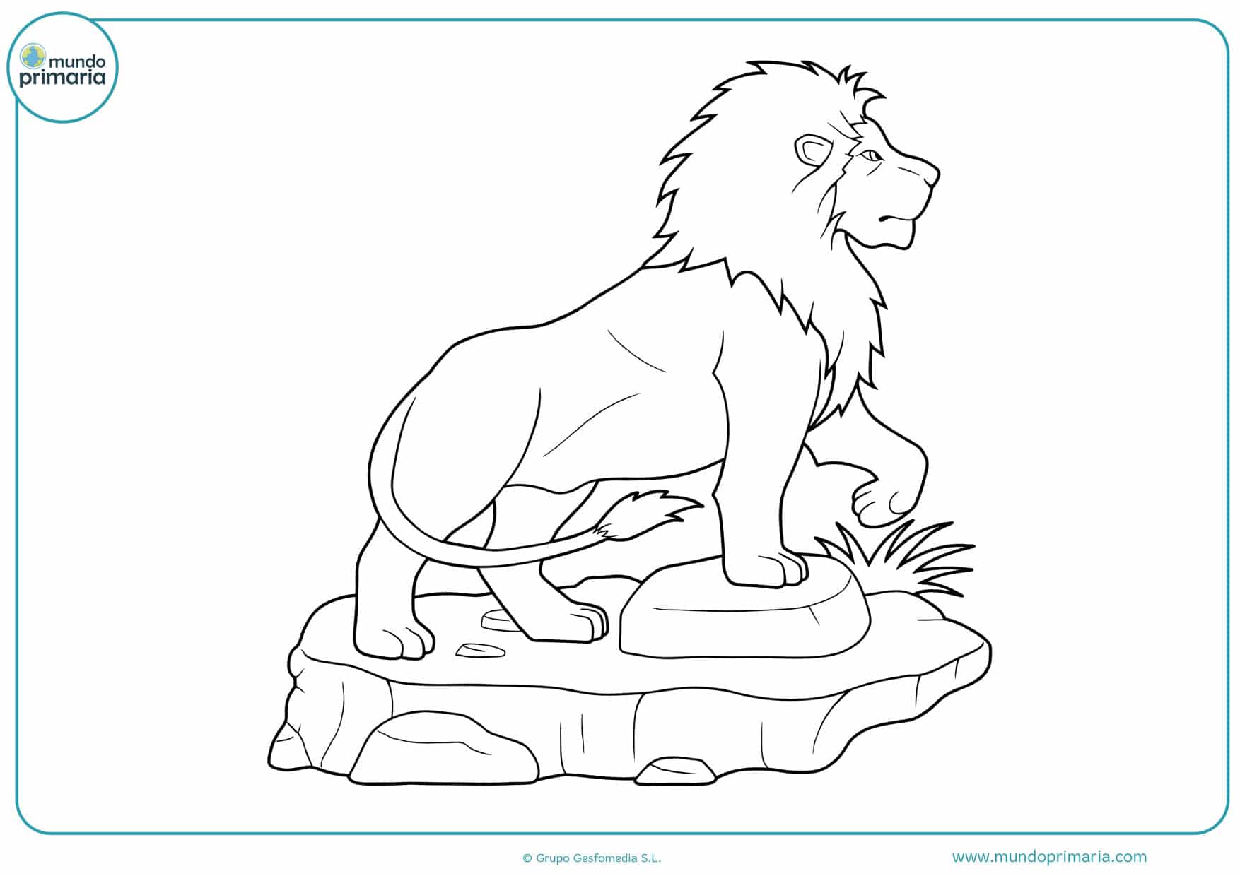Dibujos de leones para Colorear a Lápiz o como quieras - Mundo Primaria Dibujos de leones para Colorear a Lápiz o como quieras - Mundo Primaria
