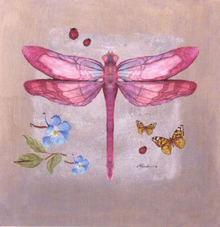 Libelulas de colores - Imagui