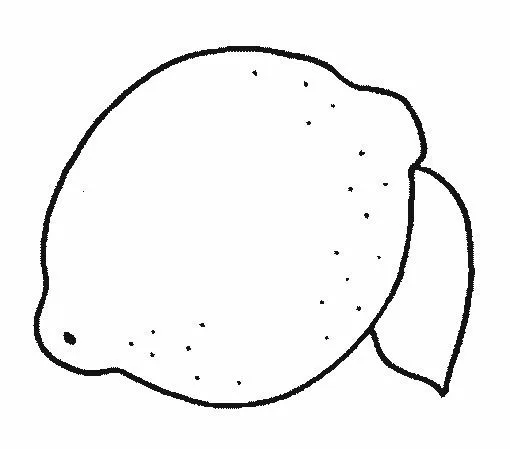 DIBUJOS DE LIMONES PARA COLOREAR