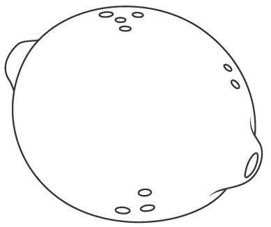DIBUJOS DE LIMONES PARA COLOREAR | Dibujos para colorear