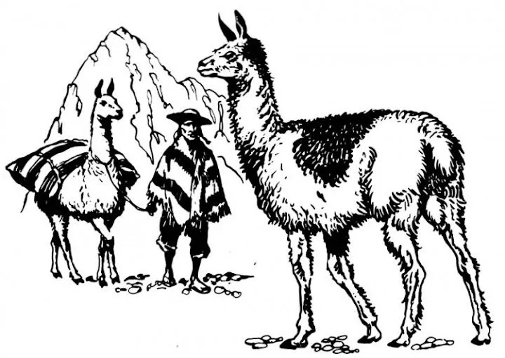 DIBUJOS DE LLAMAS PARA COLOREAR DIBUJOS DE LLAMAS PARA COLOREAR