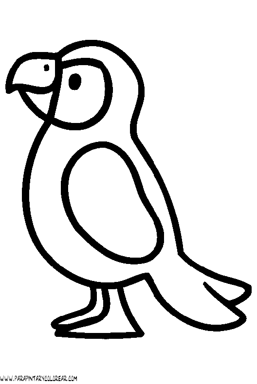 Dibujo de loros - Imagui