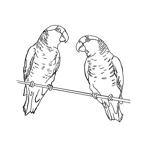 DIBUJOS DE LOROS PARA COLOREAR | Dibujos para colorear DIBUJOS DE LOROS PARA COLOREAR | Dibujos para colorear