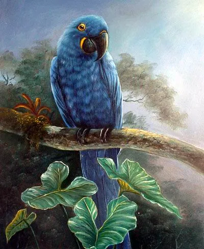 Dibujos de loros para imprimir - Imagenes y dibujos para imprimir-Todo ... Dibujos de loros para imprimir - Imagenes y dibujos para imprimir-Todo ...