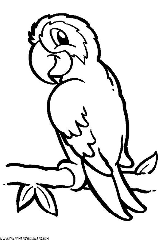 Dibujos de Loros ~ Vida Blogger