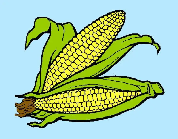 Dibujos de Maíz para Colorear - Dibujos.net Dibujos de Maíz para Colorear - Dibujos.net