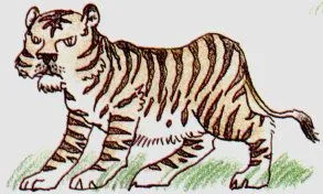 DIBUJOS DE MAMIFEROS