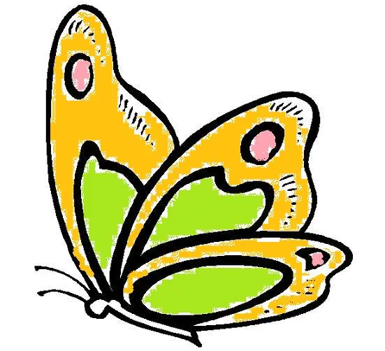 Mariposa dibujo a color - Imagui