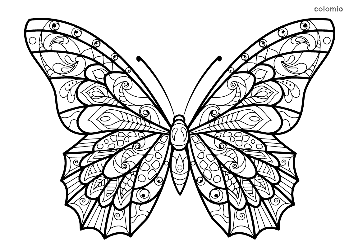Dibujos de Mariposas para colorear » Imágenes de Mariposa para colorear Dibujos de Mariposas para colorear » Imágenes de Mariposa para colorear