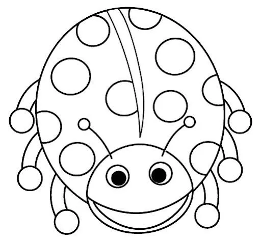 mariquita-de-baby-einstein.jpg ...