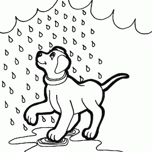 Dibujos para colorear de mascotas. Dibujos de mascotas para pintar Dibujos para colorear de mascotas. Dibujos de mascotas para pintar