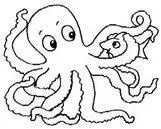 DIBUJOS DE MOLUSCOS PARA COLOREAR