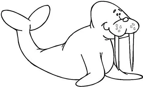 Dibujos de morsas » MORSAPEDIA