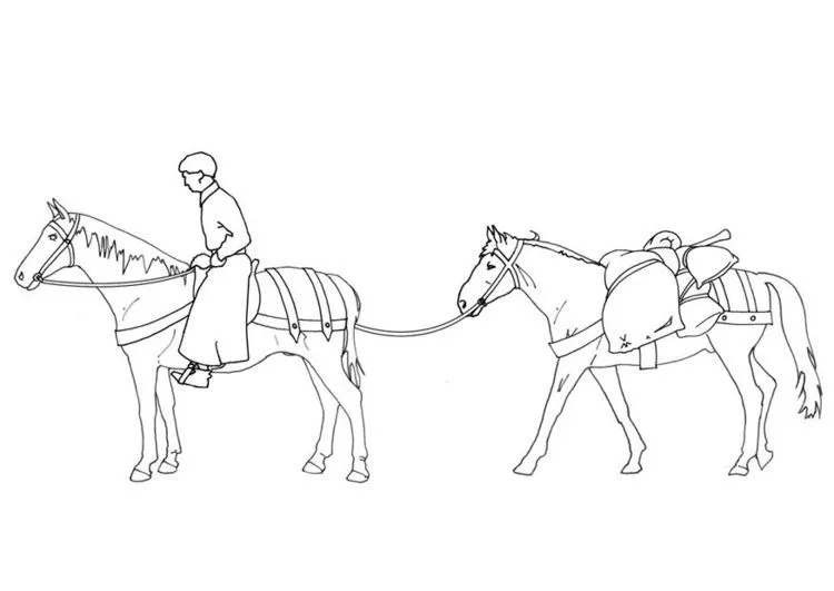 Dibujos de mulas para colorear - Imagui