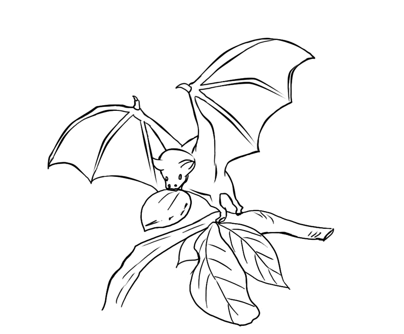 Dibujos de murciélagos | MURCIELAGOPEDIA