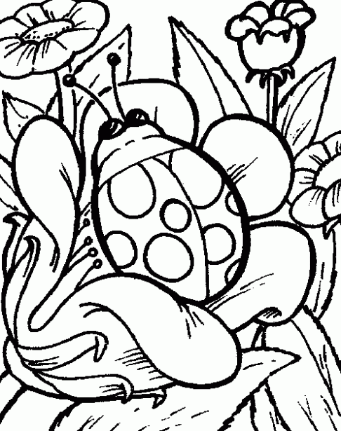 Dibujos de la Naturaleza ~ Vida Blogger