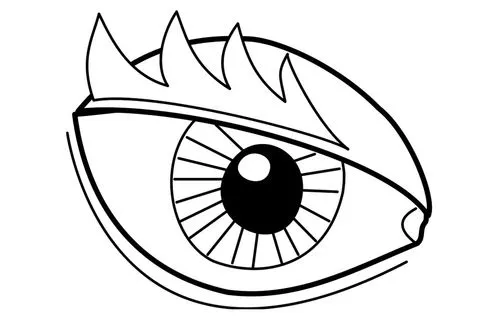 DIBUJOS DEL OJO Y SUS PARTES PARA COLOREAR - Imagui