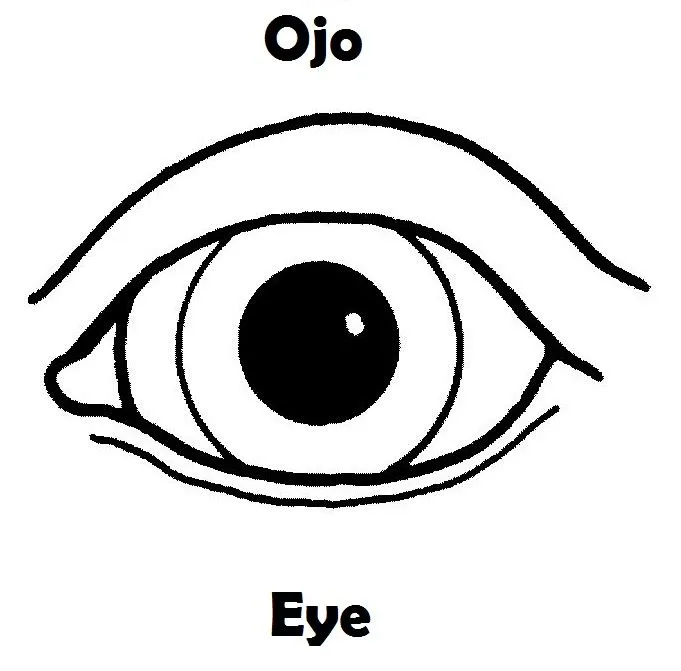 ojo-colorear-ingles-espa%25C3% ...