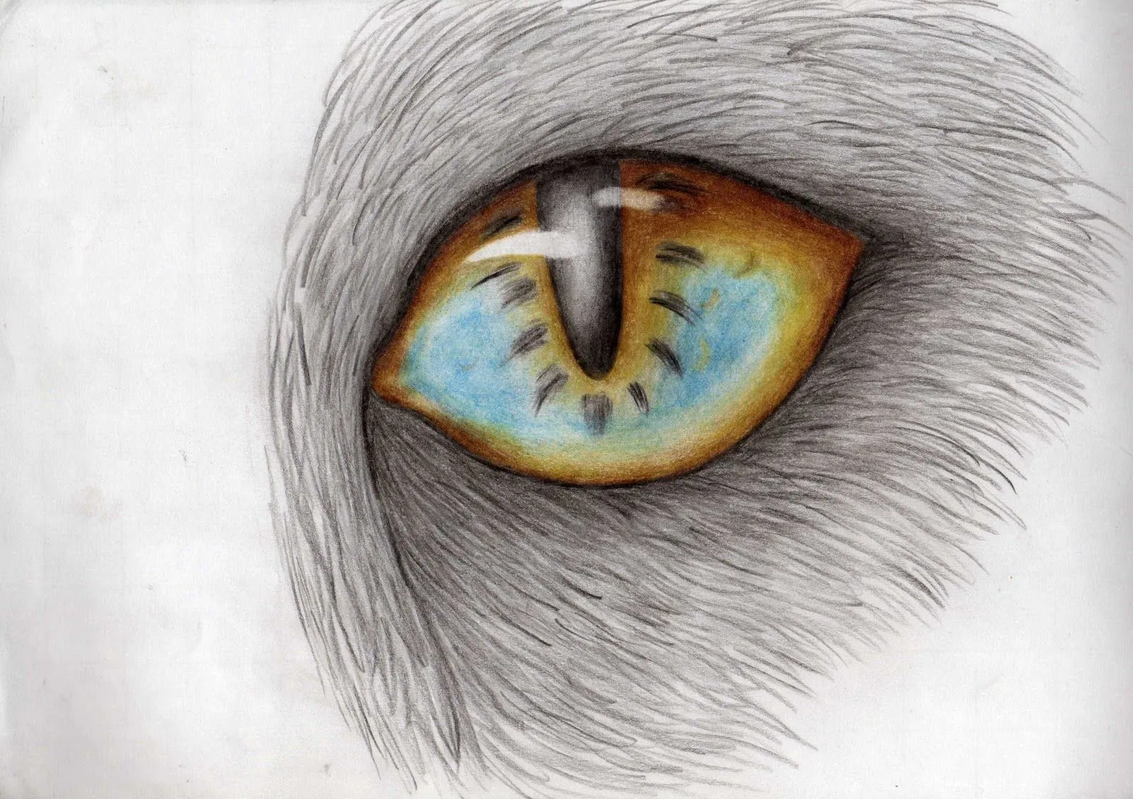 Dibujos de ojos de animales - Imagui