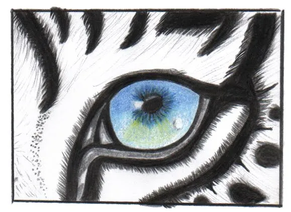 Dibujos de ojos de animales - Imagui