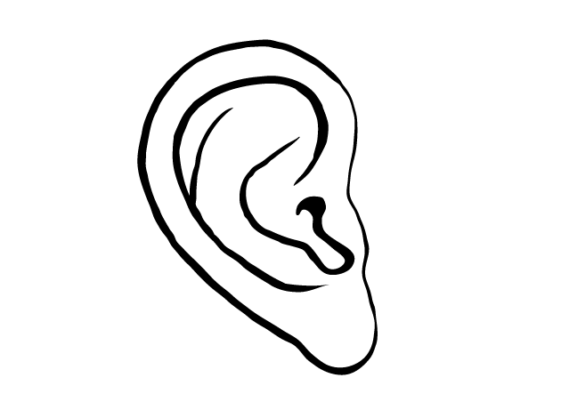 Oreja dibujo color - Imagui