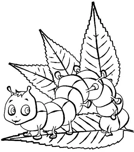 Dibujos de oruga para colorear - Imagui