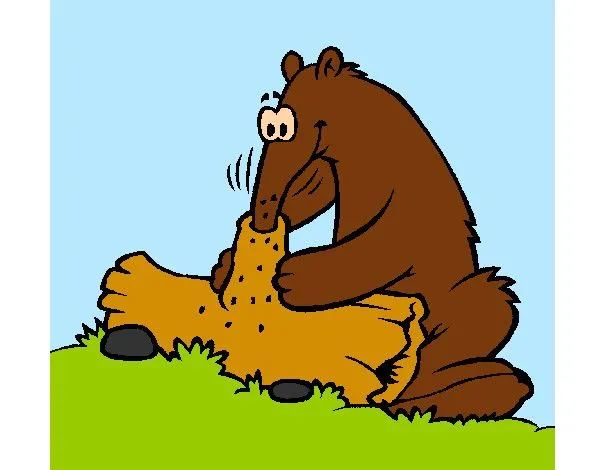 Dibujos de Osos hormigueros para Colorear - Dibujos.net Dibujos de Osos hormigueros para Colorear - Dibujos.net
