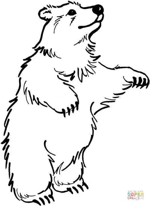Dibujos de Osos pardos para colorear - Páginas para imprimir y ... Dibujos de Osos pardos para colorear - Páginas para imprimir y ...