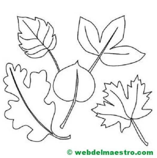 Dibujos del otoño para colorear - Web del maestro Dibujos del otoño para colorear - Web del maestro